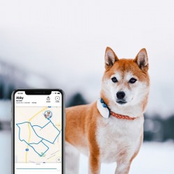 GPS Lokator za pse Tractive DOG 4