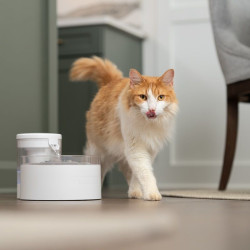 Fontana PetSafe® Outlast™ 1.7 litra